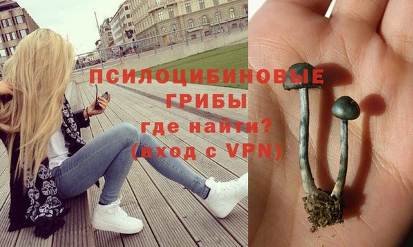 гашиш Бронницы